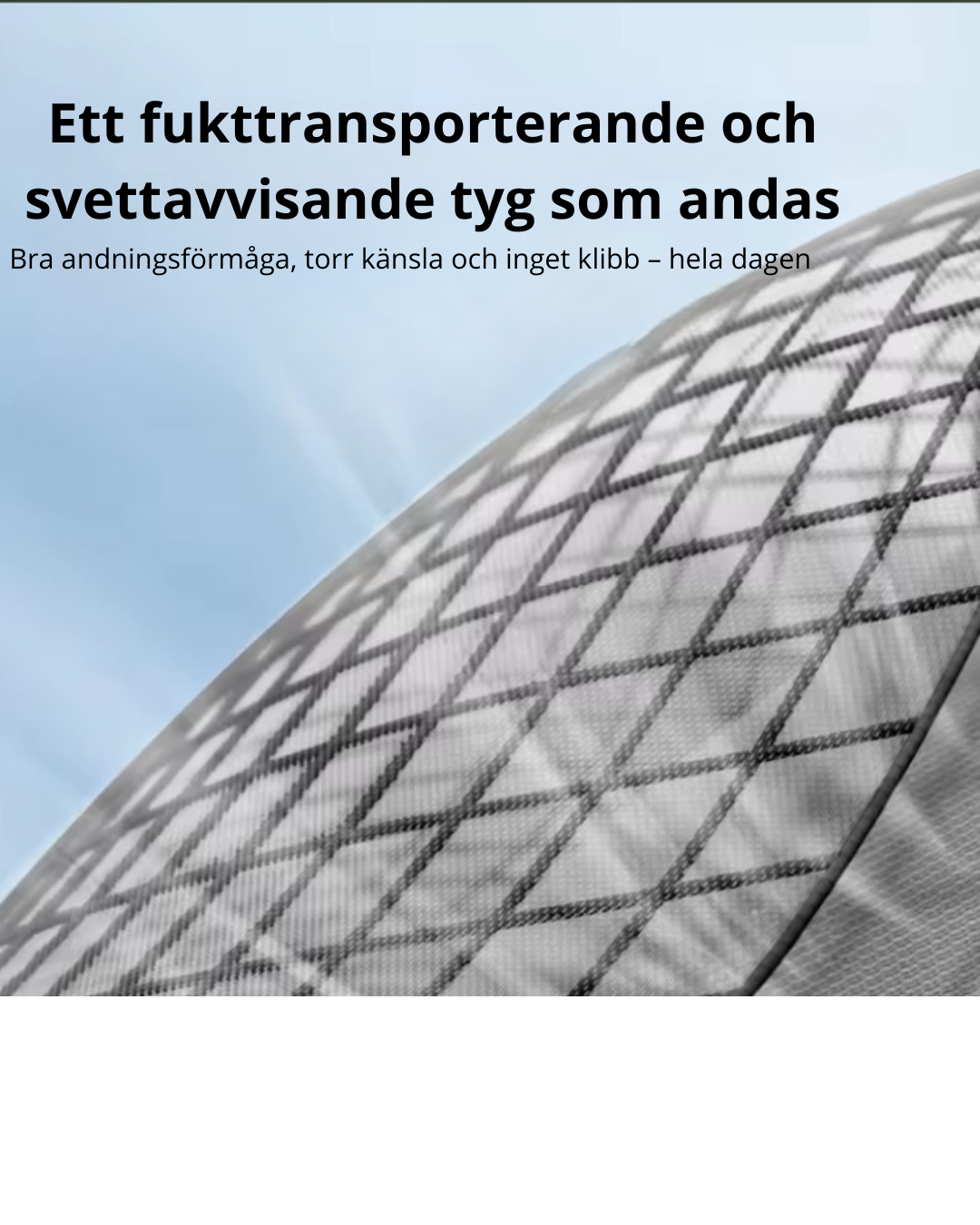 RyggPelaren Pro-  Återställer kroppens naturliga balans